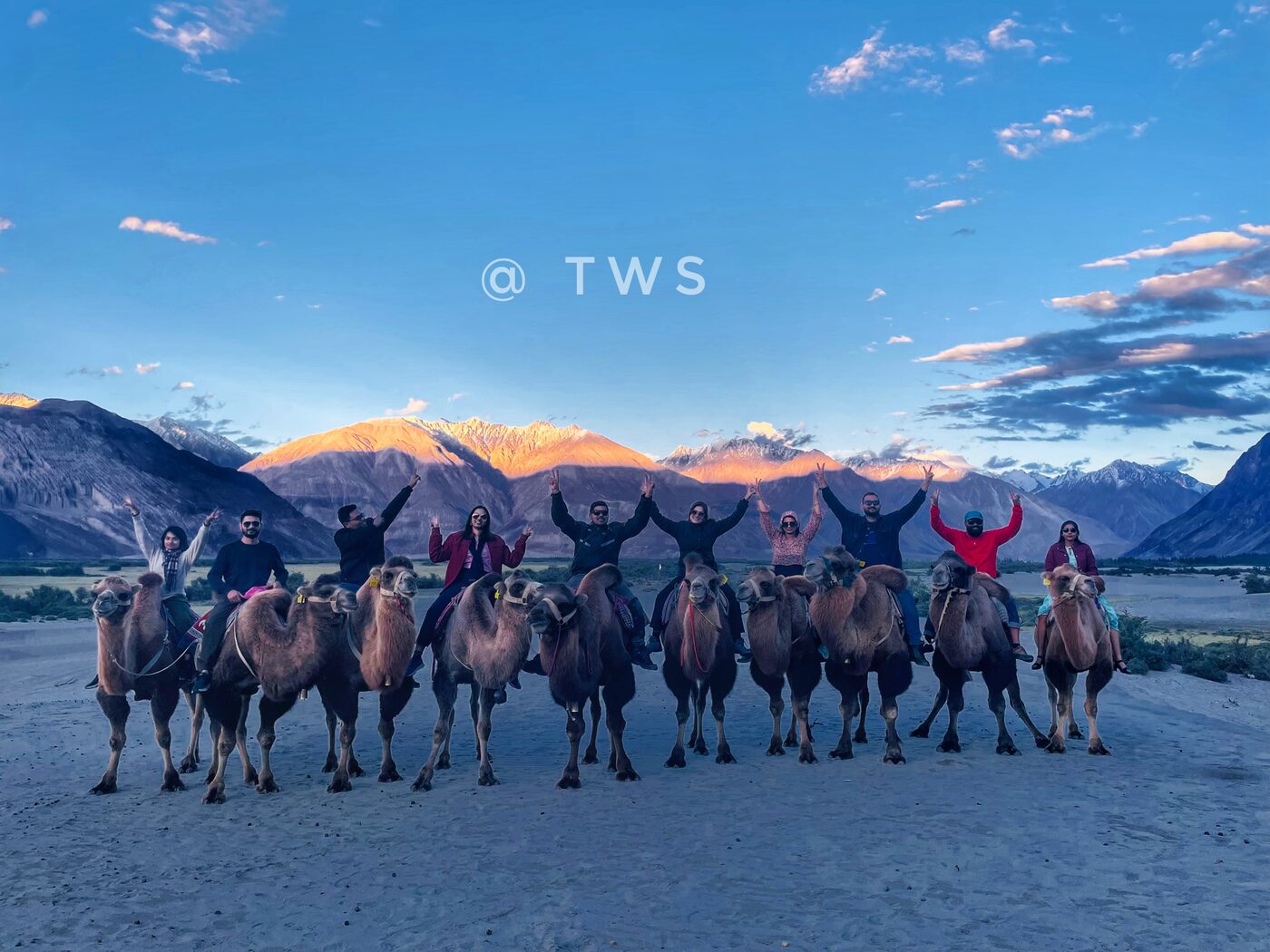 Double-hump camel safari, Nubra Valley